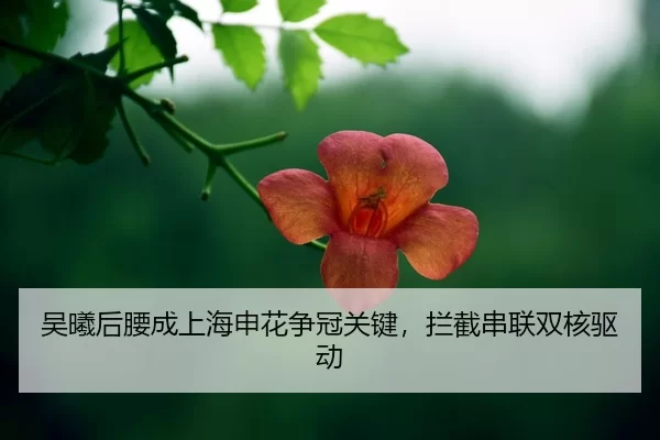 wu-xi-hou-yao-cheng-shang-hai-shen-hua-zheng-guan-guan-jian-lan-jie-chuan-lian-shuang-he-qu-dong-2-534.jpg