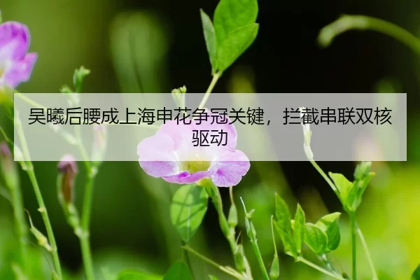 wu-xi-hou-yao-cheng-shang-hai-shen-hua-zheng-guan-guan-jian-lan-jie-chuan-lian-shuang-he-qu-dong-3-464.jpg