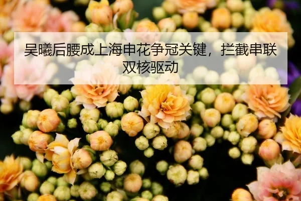 吴曦后腰成上海申花争冠关键，拦截串联双核驱动