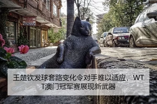 wang-chu-qin-fa-qiu-tao-lu-bian-hua-ling-dui-shou-nan-yi-shi-ying-ao-men-guan-jun-sai-zhan-xian-xin-wu-qi-2-135.jpg